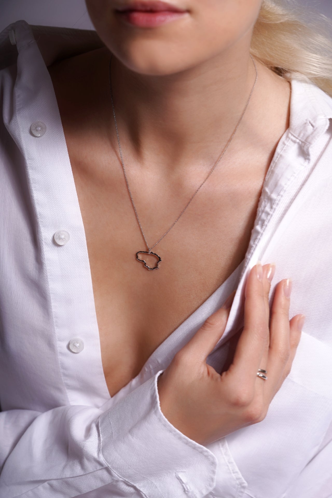 Sidabrinis pakabukas "Lietuva"